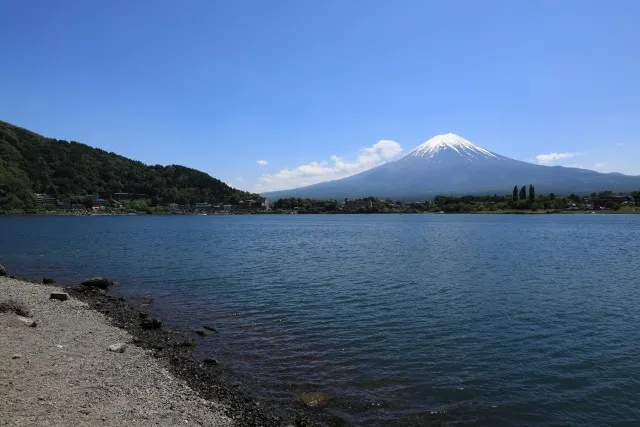 富士五湖の別荘・ホテル・レジャー施設をカビから守る!プロが教える根本解決と安心の環境づくり✨